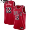 NBA Børn Trøje Chicago Bulls Ayo Dosunmu 12 2022-23 Nike Icon Edition Rød Swingman